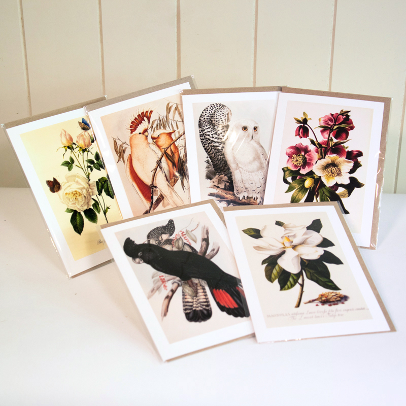 Botanical Greeting Card