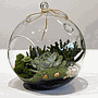 Terrarium