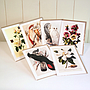 Botanical Greeting Card